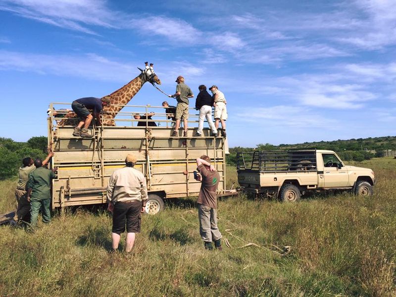Conservation & Community | África do Sul