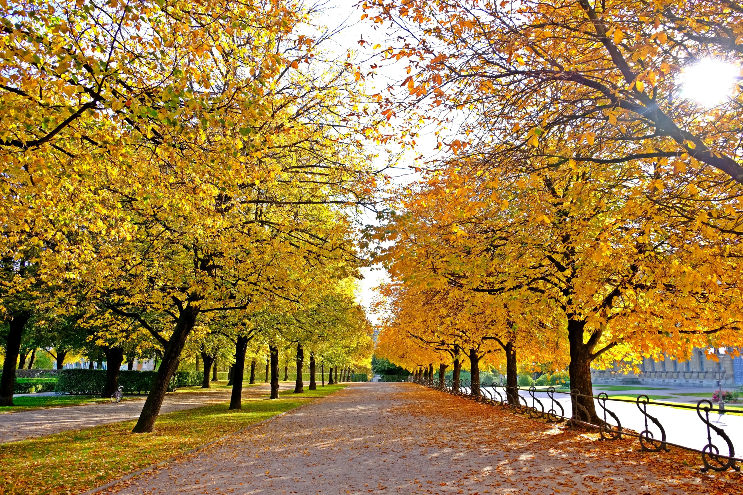 Englischer Garten