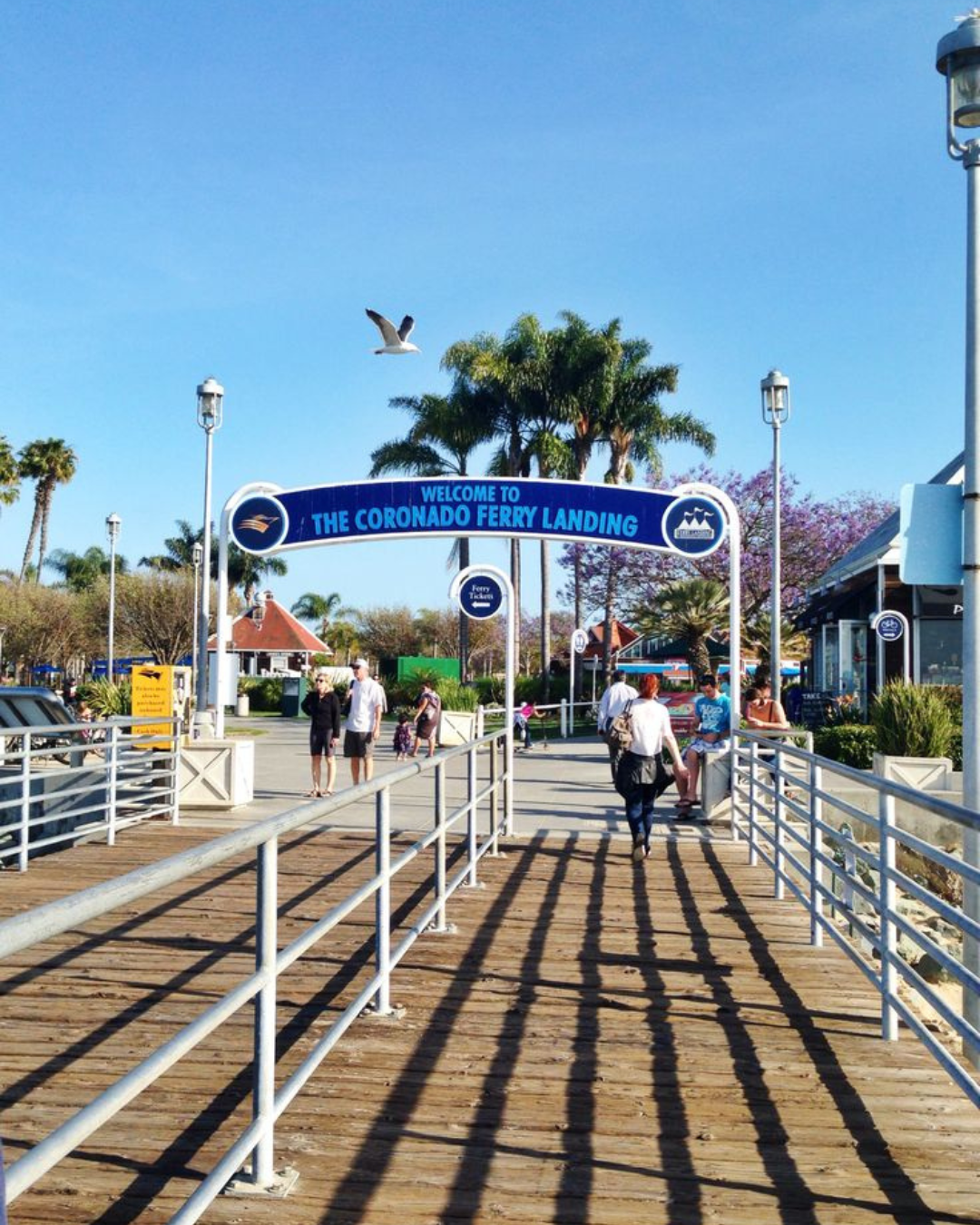 Coronado Island City Cruise